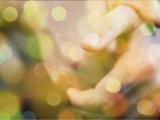 Clasping of the hands