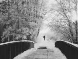 When you are gone