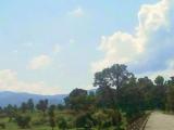 Bluish green hills from bridge on North Koel at Garu