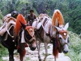 On the way to Pangu camp