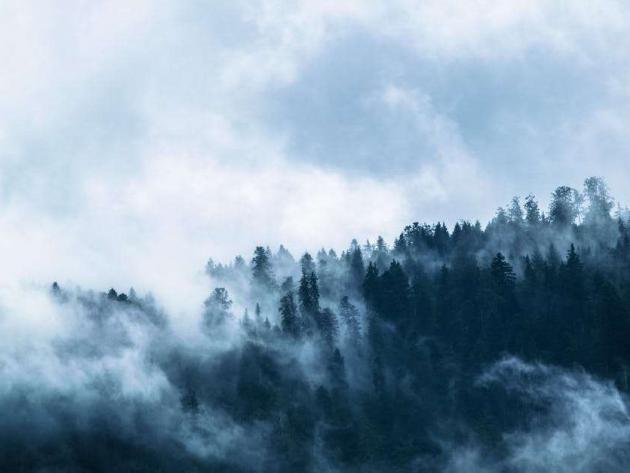 Mist